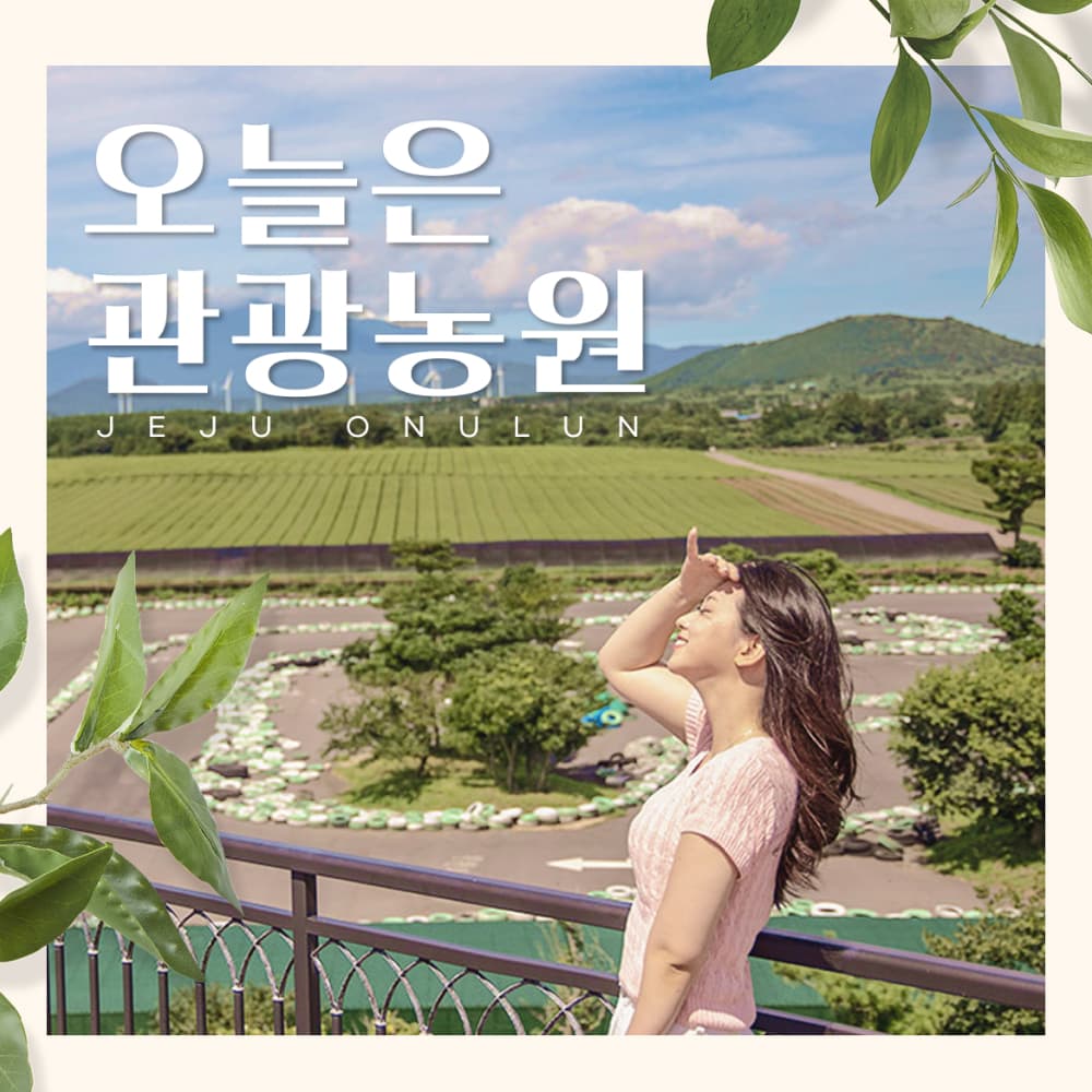 오늘은 관광농원 체험 및 패키지권