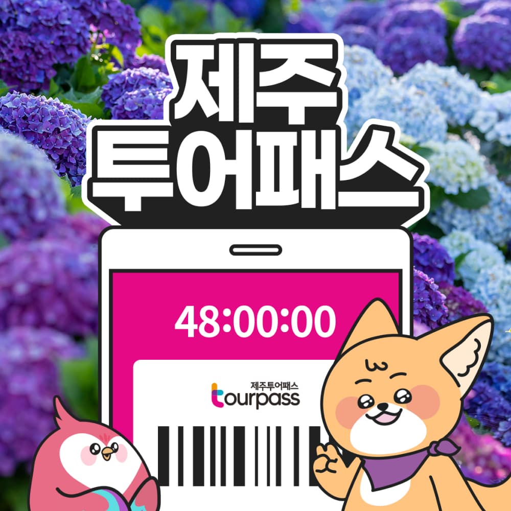 제주 투어패스 이용권